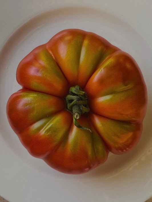 Star Ingredient: Tomatoes