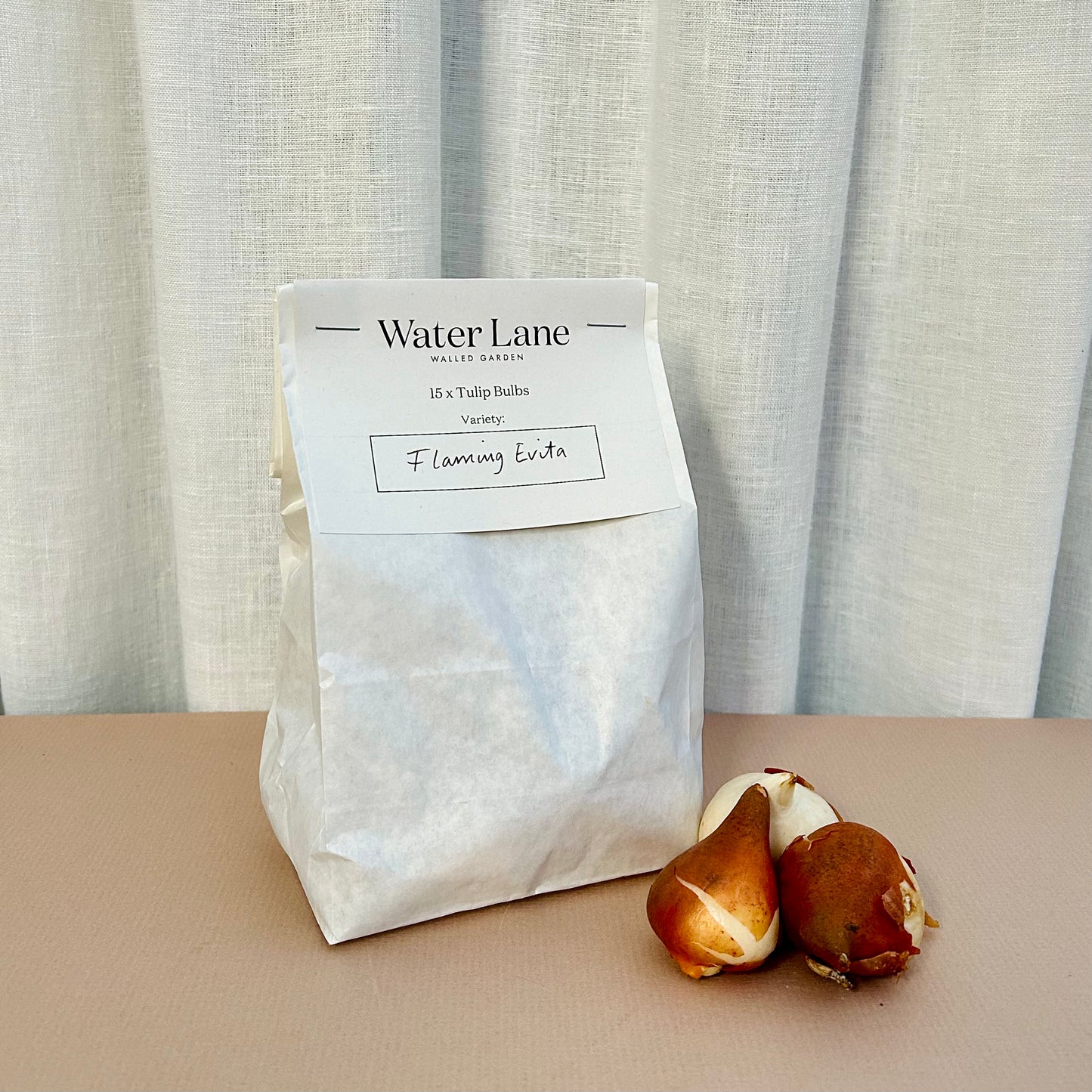 Water Lane Parrot Tulip Bulbs