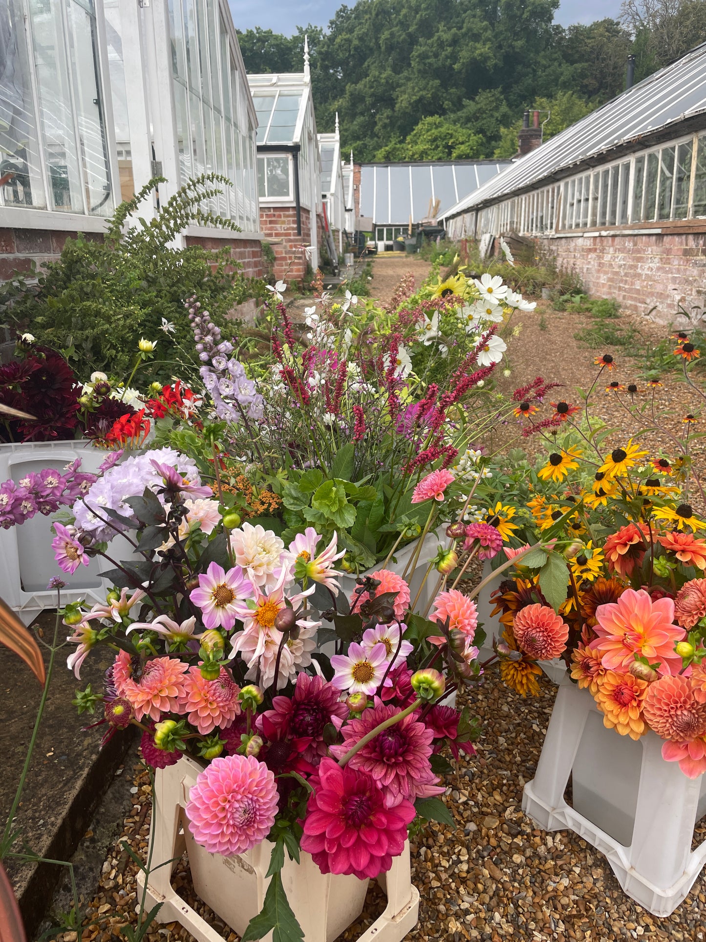 The Cutting Garden, Season by Season - Late Summer/Early Autumn - 11th September 10am to 4pm