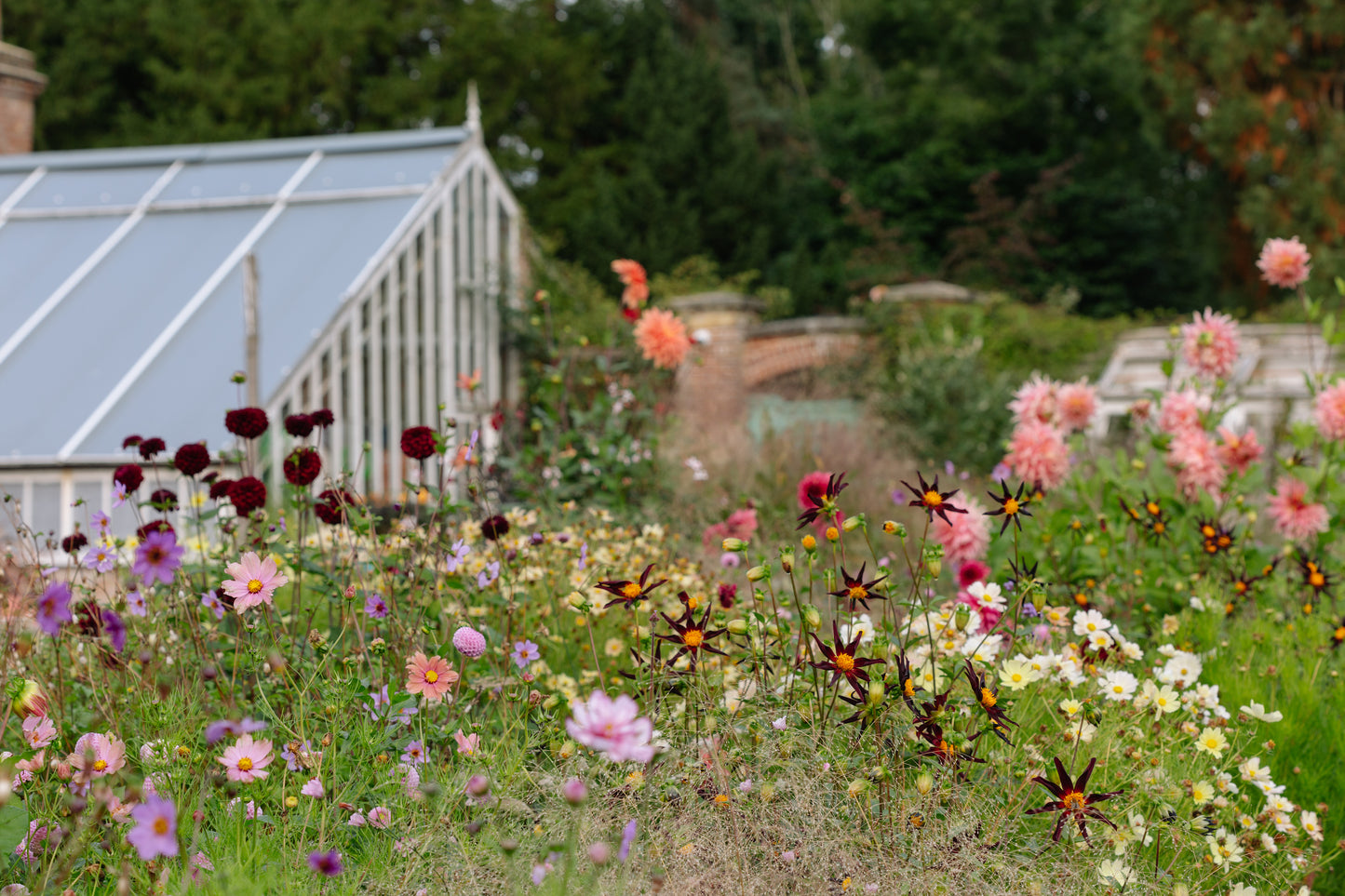 Designing a Flower Border with Jo Thompson in Four Sessions - February, April, June and September