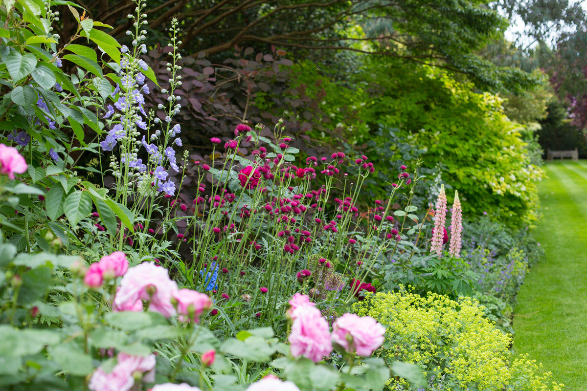 Designing a Flower Border with Jo Thompson in Four Sessions - February, April, June and September