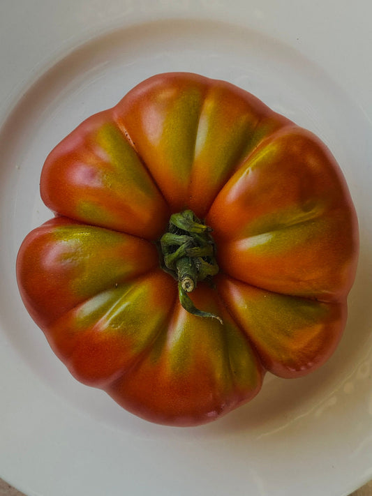 Confit tomatoes