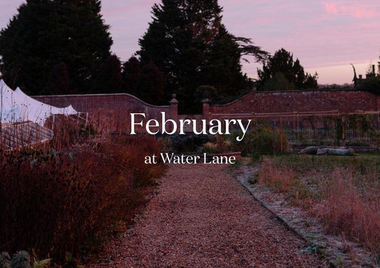 February at Water Lane