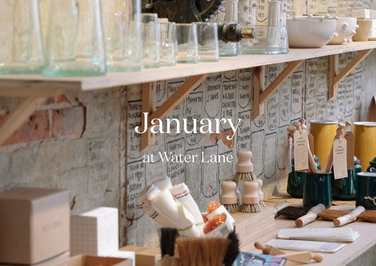 January at Water Lane