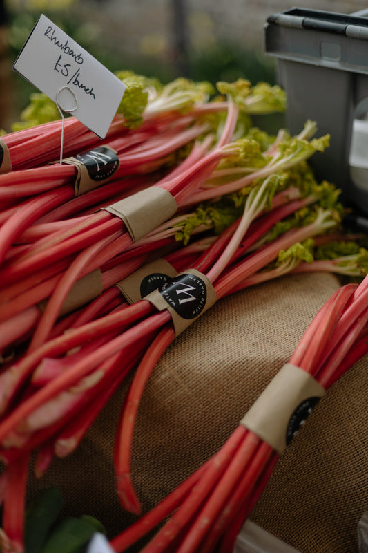 Rhubarb and vanilla Jam