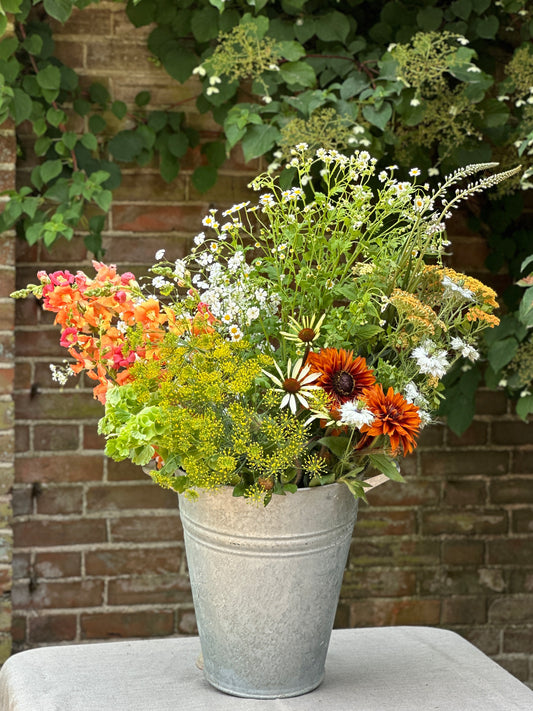 DIY Seasonal Flower Bucket - Medium - Collection Only