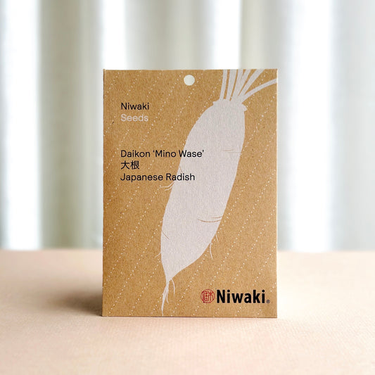 Daikon ‘Mino Wase’ Seeds  - Japanese Radish