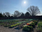 The Cutting Garden, Season by Season - Early Spring - 15th March 10am to 4pm