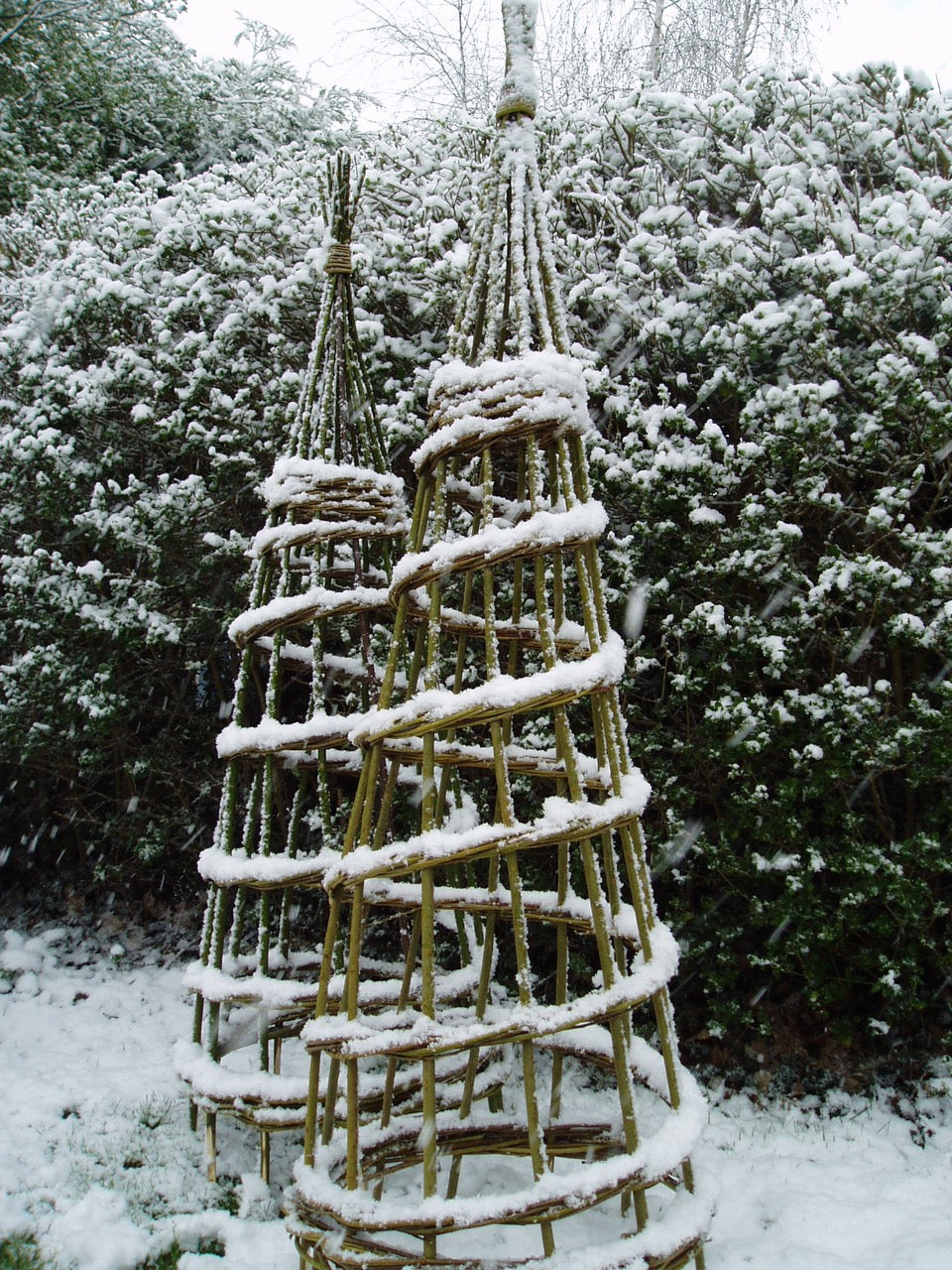 Alternative Willow Christmas Tree Weaving - 8th December - 10am 3.30pm