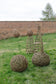 Weave Your Own Willow Garden Sphere - 31st May - 10:00 - 16:00