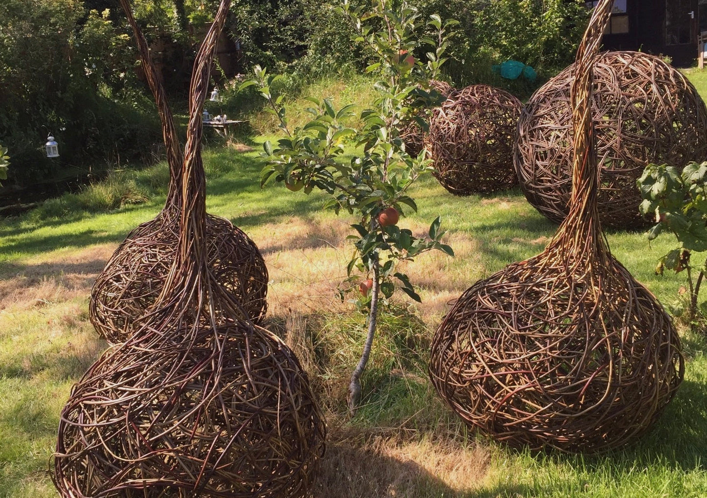 Weave Your Own Willow Garden Sphere - 1st November - 10:00 - 16:00