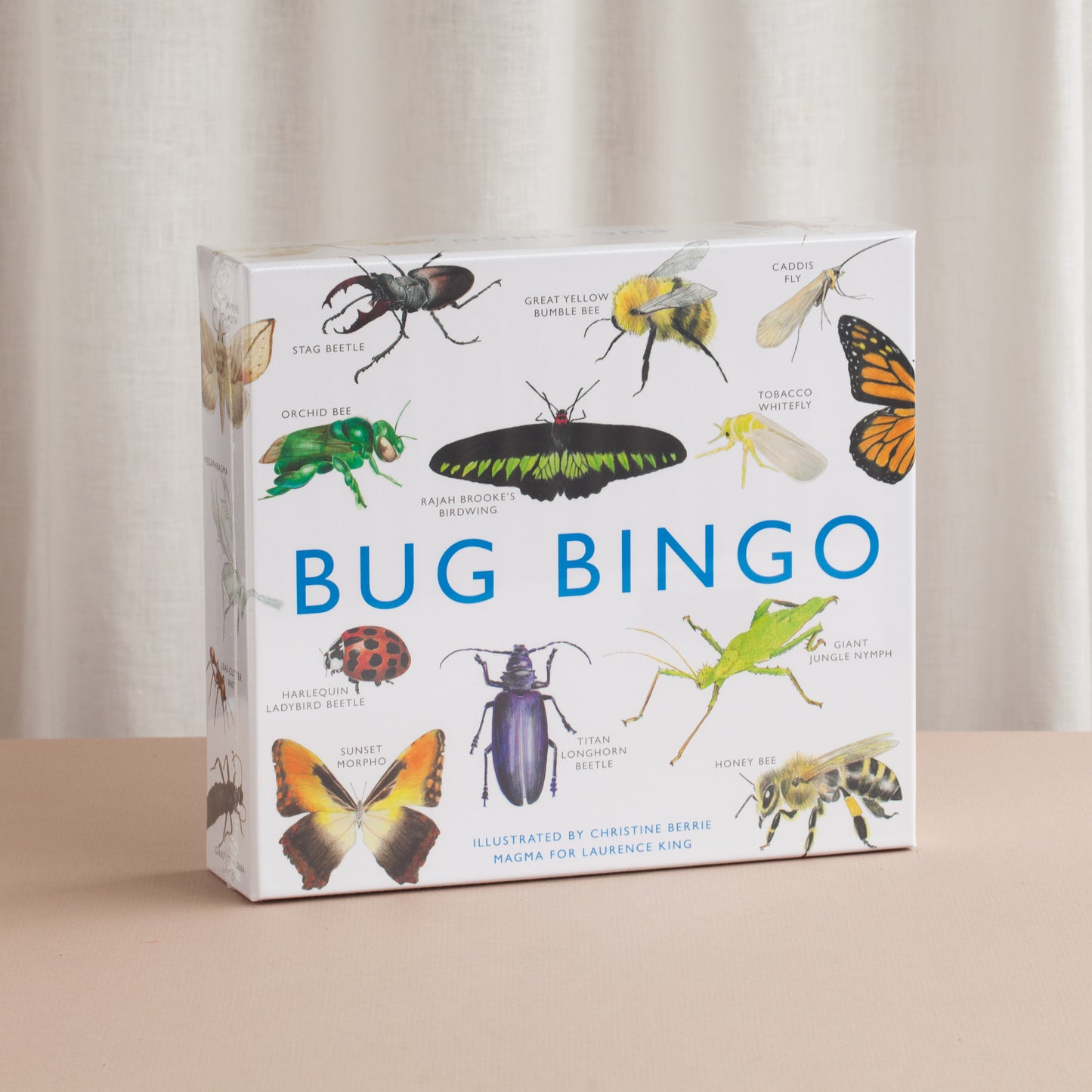 Bug Bingo