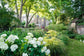 Designing a Flower Border with Jo Thompson in Four Sessions - February, April, June and September